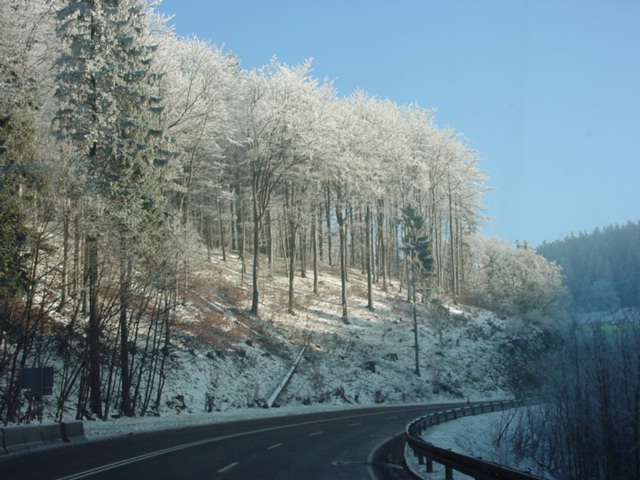 DSC00743