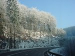 DSC00743