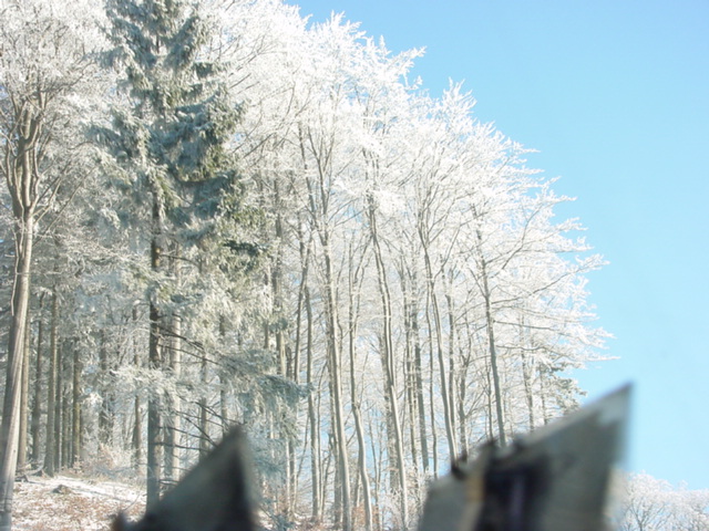 DSC00744