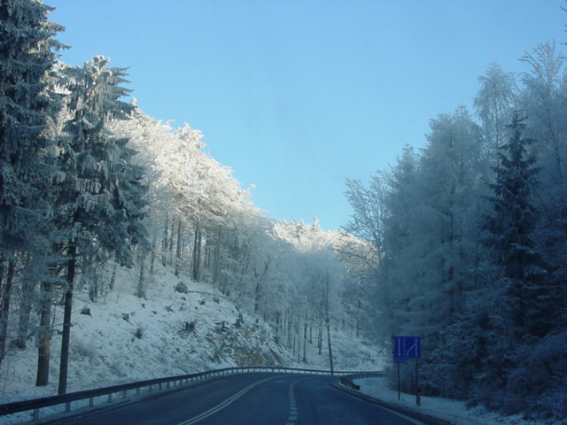 DSC00745