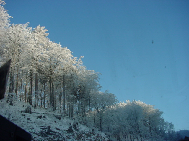 DSC00746