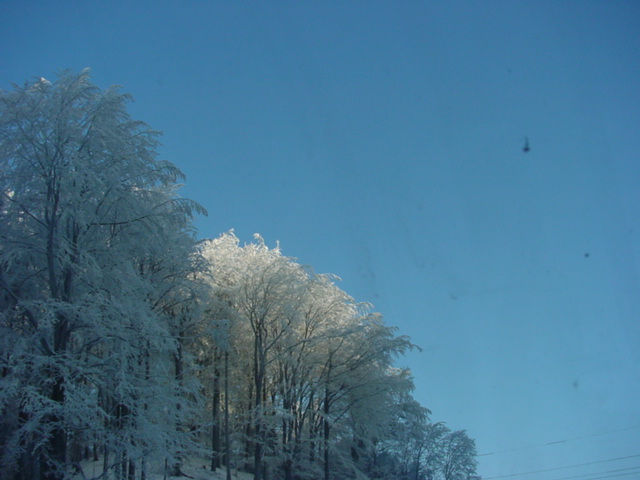 DSC00747