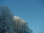DSC00747