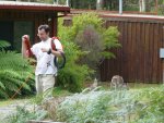 Including the kangaroos - should this be called a multi-multi effort?