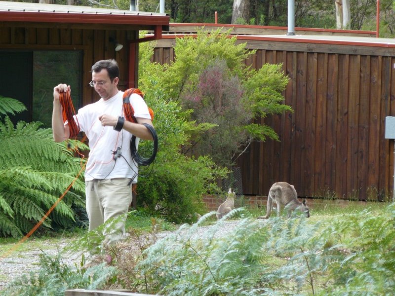 Including the kangaroos - should this be called a multi-multi effort?