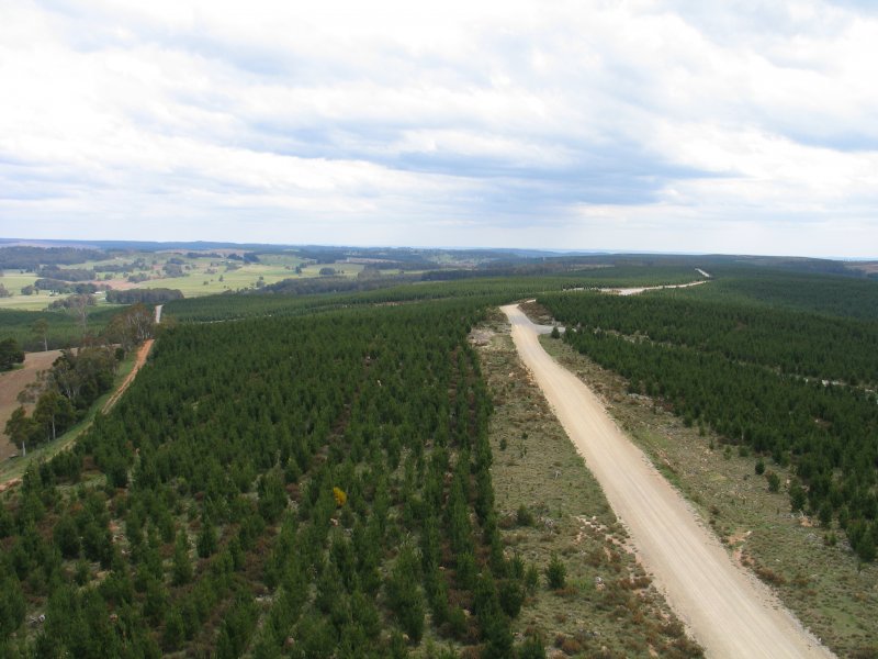 The view you get at the 160m sloper feedpoint height