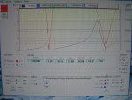 7 Mhz half wave (21m) long vertical with two elevated 10m long radials is resonant on other freqs as well