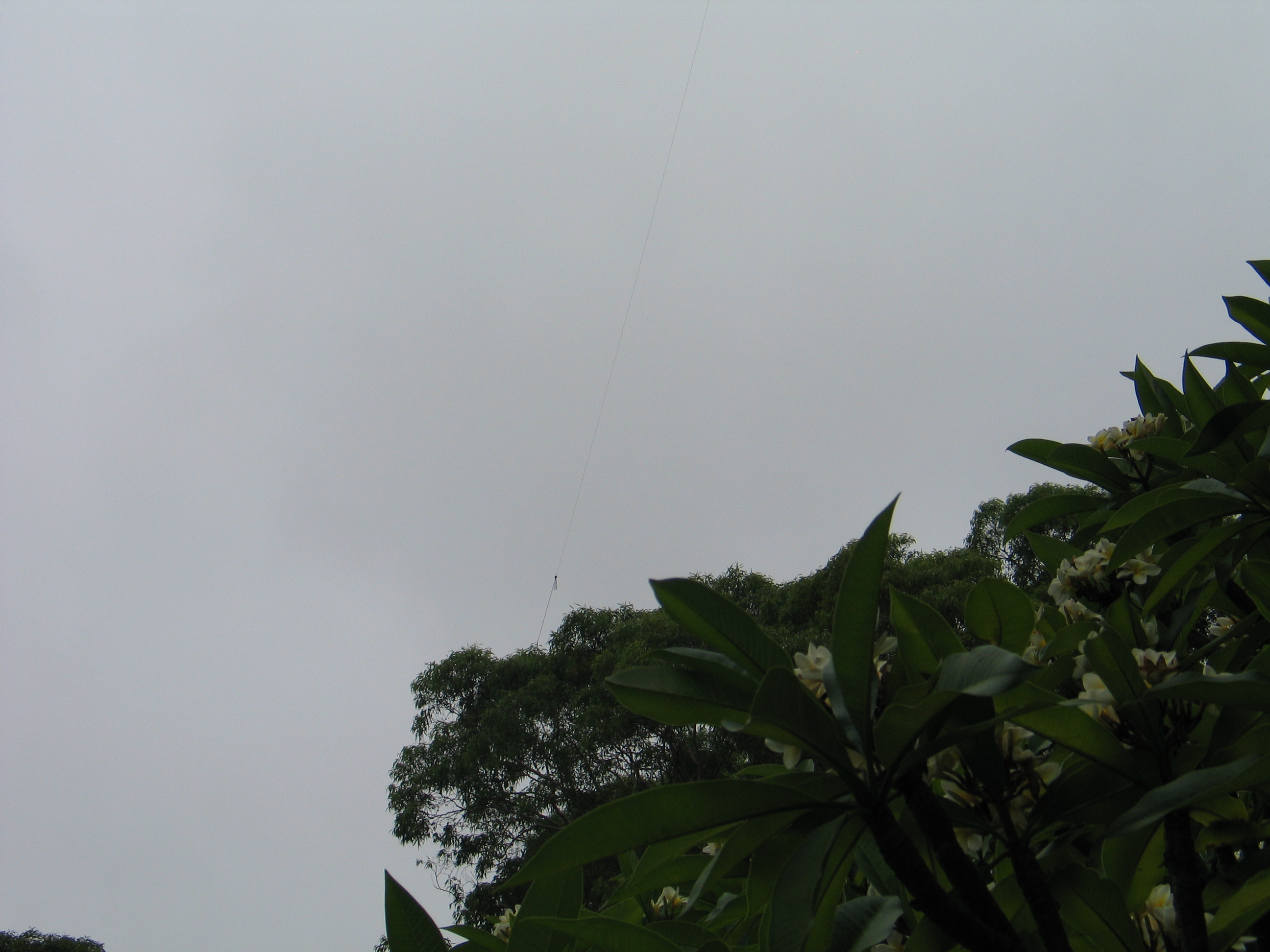 The far end of the inverted L - the insulator is hardly seen