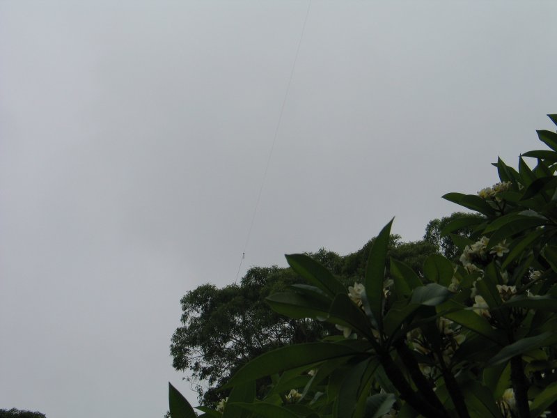 The far end of the inverted L - the insulator is hardly seen