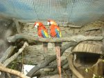 DSC00291.JPG