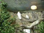 DSC00292.JPG