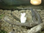 DSC00294.JPG