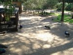 DSC00297.JPG