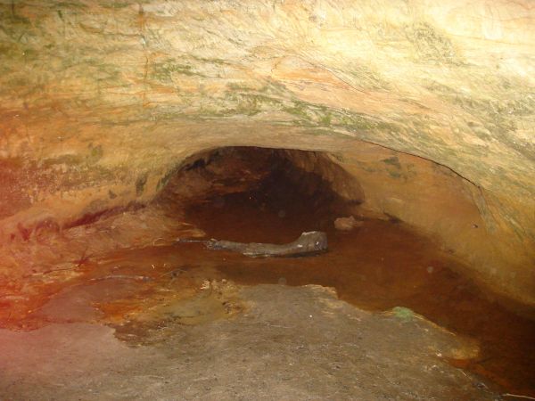 Mažosios olos viduje. Įeiti negalima - šlapia ir žema