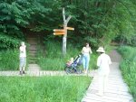 Kuriuo keliuku geriau????