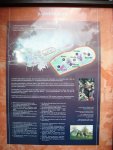 DSC00356.JPG