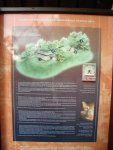 DSC00358.JPG