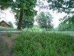 DSC00362.JPG
