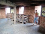 DSC00398.JPG