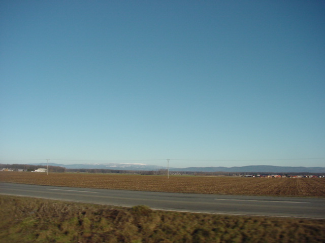DSC00822