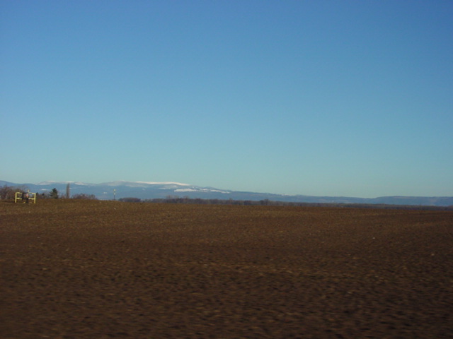 DSC00825