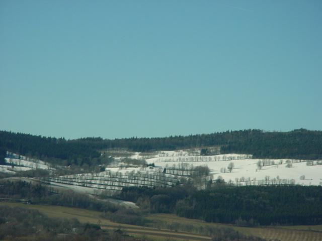 DSC00842