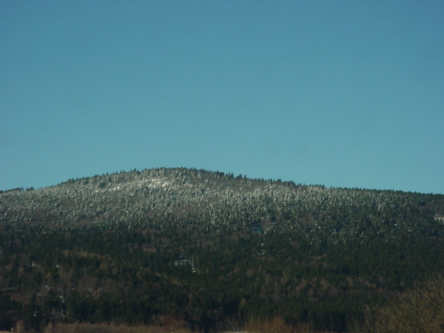 DSC00849