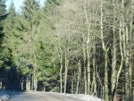 DSC00853