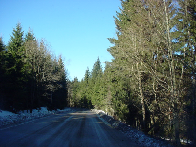 DSC00855