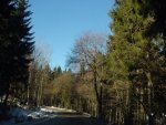 DSC00860