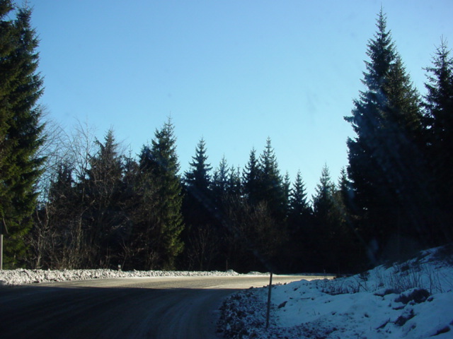 DSC00861