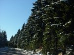 DSC00867