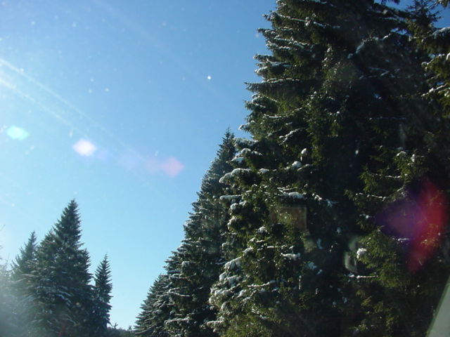 DSC00868