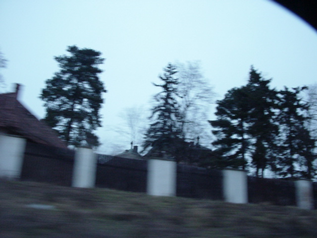 DSC00895