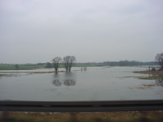 DSC00904