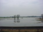 DSC00904