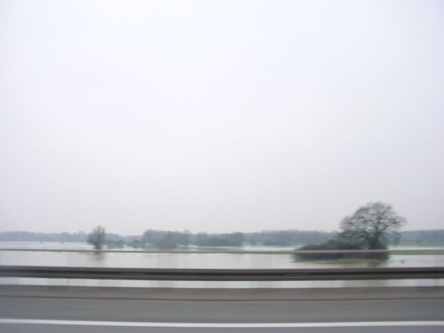 DSC00906