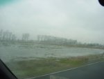 DSC00921