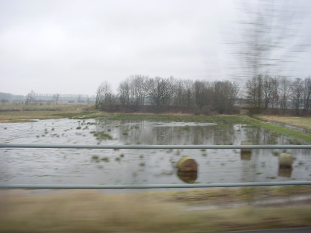 DSC00922