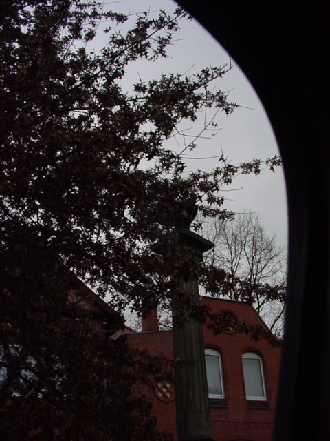 DSC00930