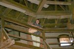 IMG_0239.jpg