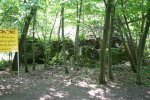 IMG_0258.jpg