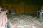 IMG_0261.jpg