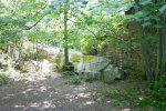 IMG_0264.jpg