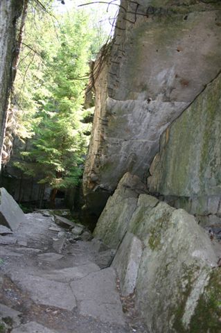 IMG_0270.jpg