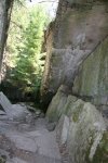 IMG_0270.jpg