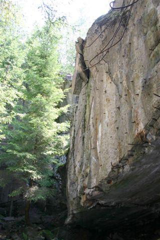 IMG_0272.jpg