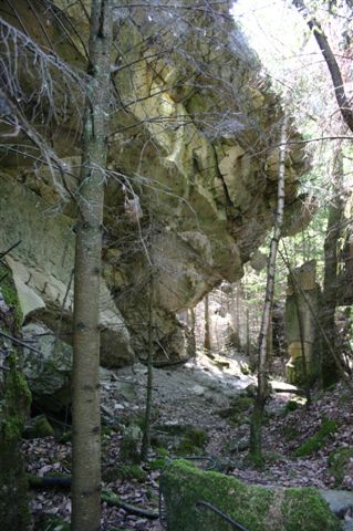 IMG_0281.jpg