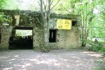 IMG_0289.jpg