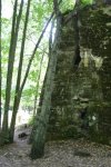 IMG_0293.jpg